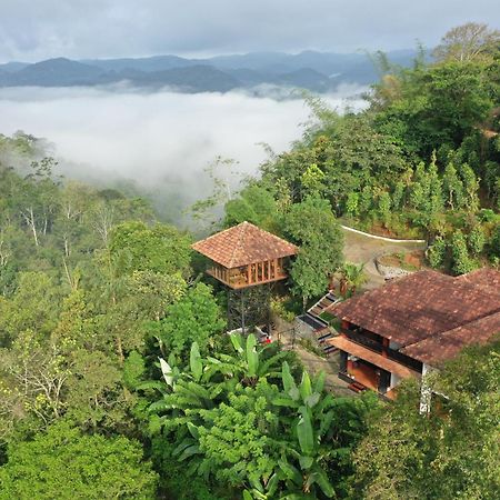 Spice Forest Plantation Homestay, Thekkady Vandiperiyar Экстерьер фото