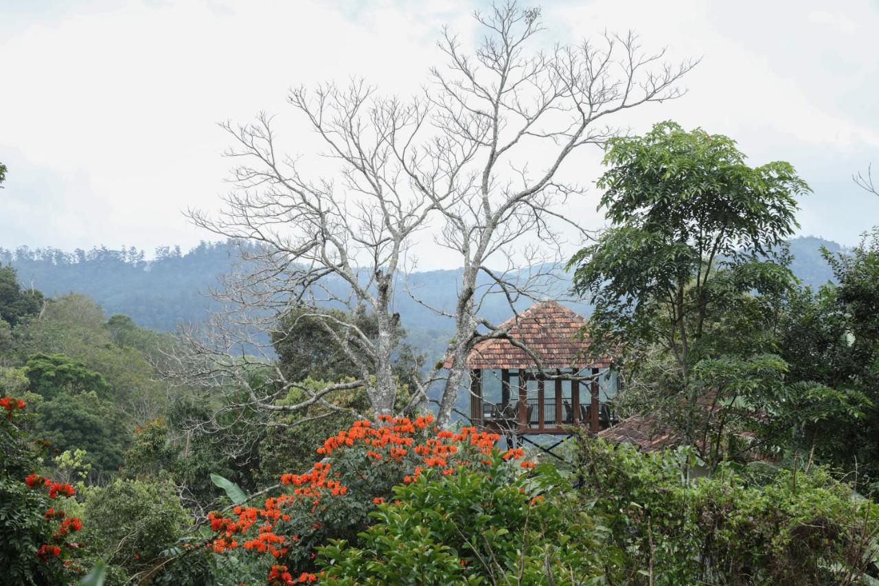Spice Forest Plantation Homestay, Thekkady Vandiperiyar Экстерьер фото