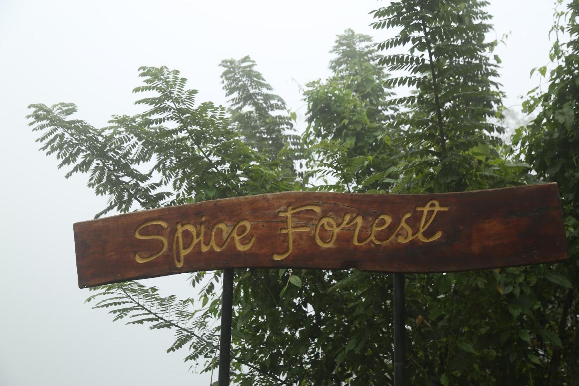 Spice Forest Plantation Homestay, Thekkady Vandiperiyar Экстерьер фото