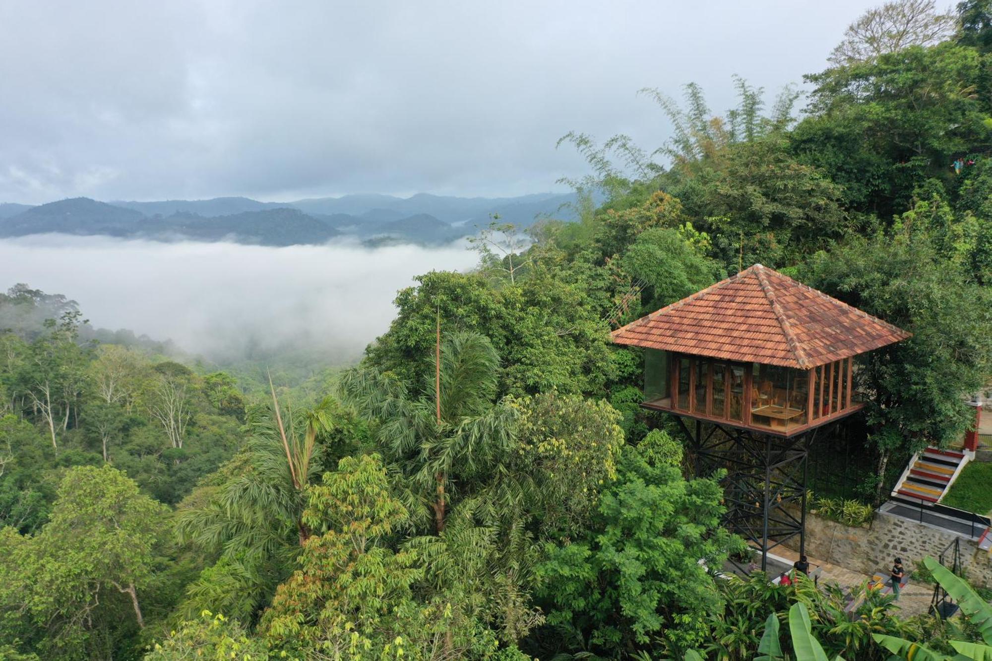 Spice Forest Plantation Homestay, Thekkady Vandiperiyar Экстерьер фото